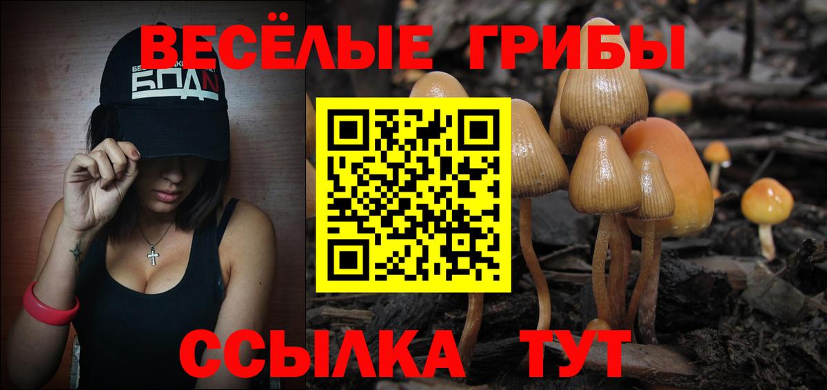 Псилоцибиновые грибы мицелий  Вход с VPN  Псилоцибиновые грибы Psilocybine cubensis  Обь 